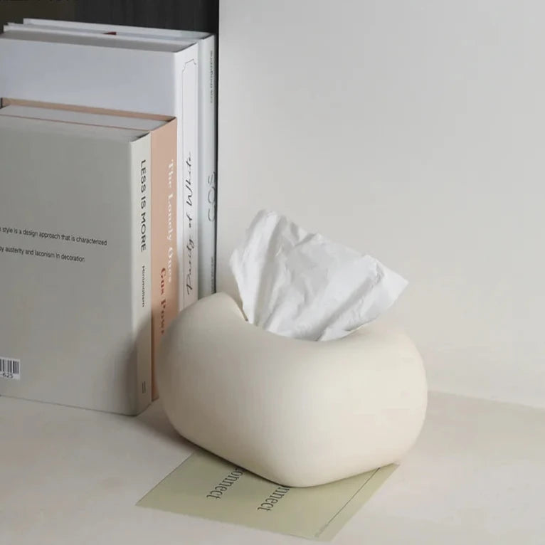 Creative ceramic tissue box